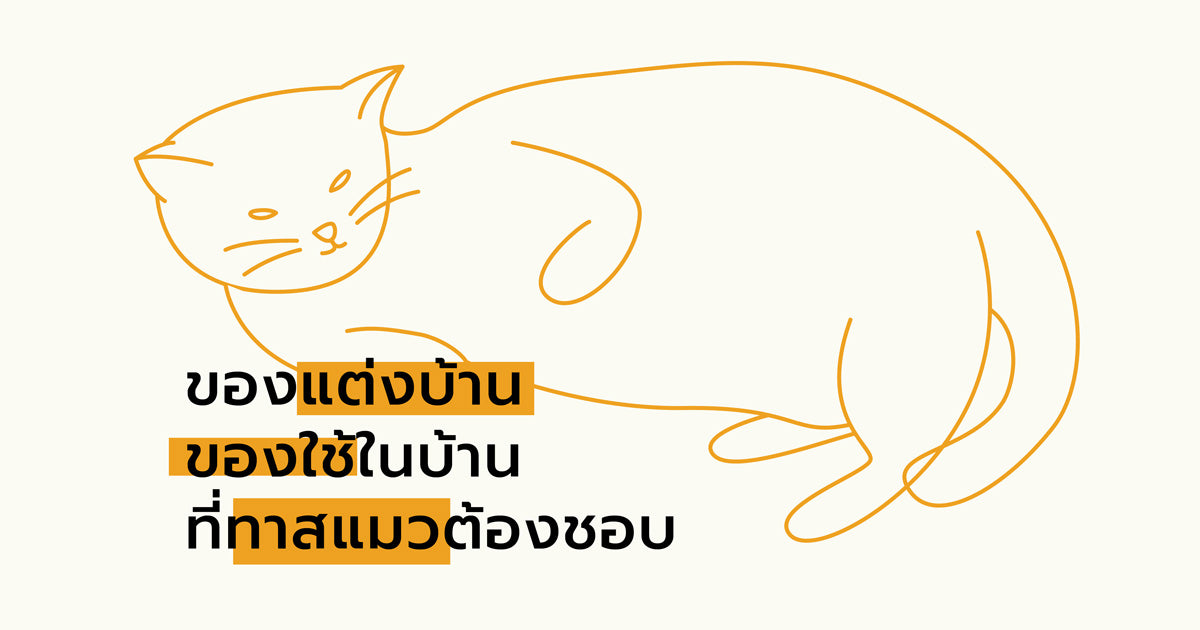 ของแต่งบ้านของใช้ในบ้านที่ทาสแมวต้องชอบ!