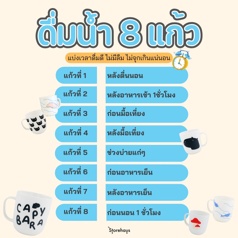 ดื่มน้ำ 8 แก้ว